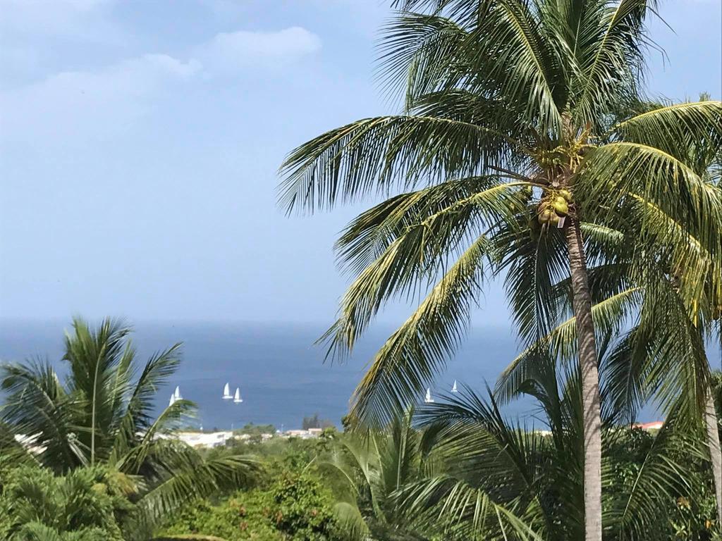 Residence Paradis Tropical Basse-Terre Ngoại thất bức ảnh