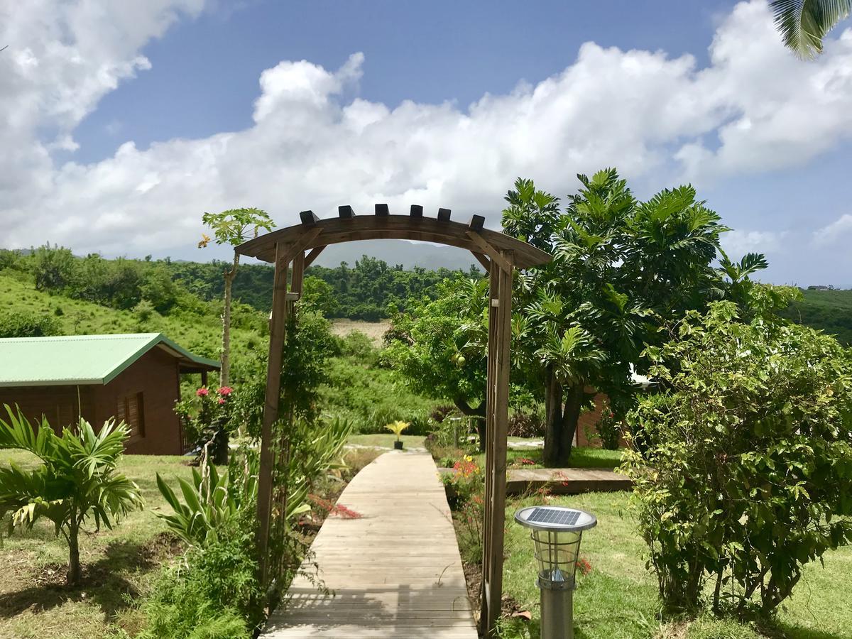 Residence Paradis Tropical Basse-Terre Ngoại thất bức ảnh