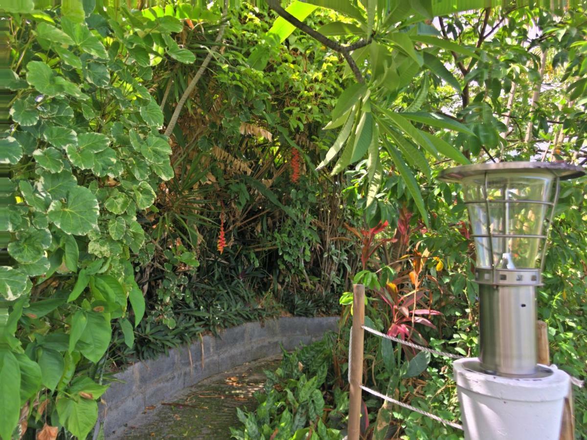 Residence Paradis Tropical Basse-Terre Ngoại thất bức ảnh