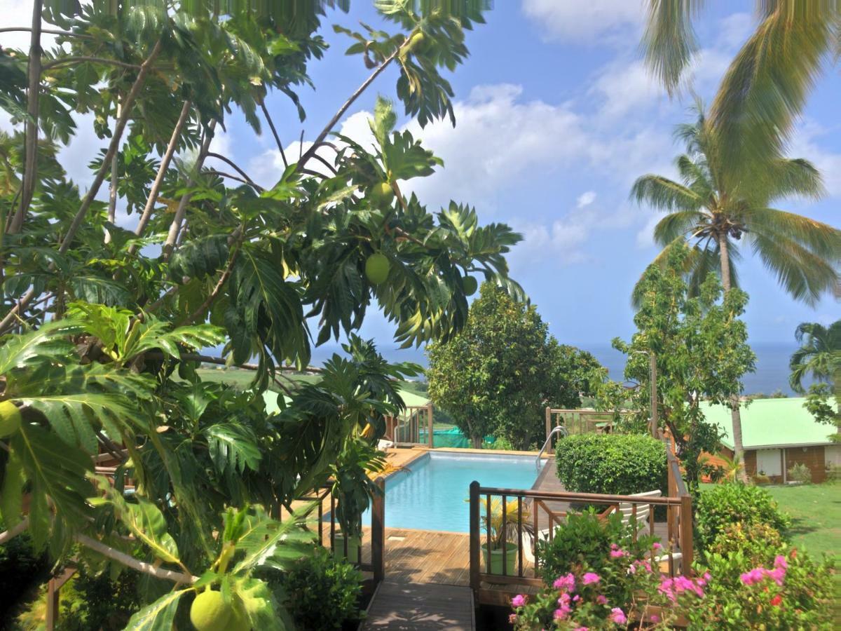 Residence Paradis Tropical Basse-Terre Ngoại thất bức ảnh