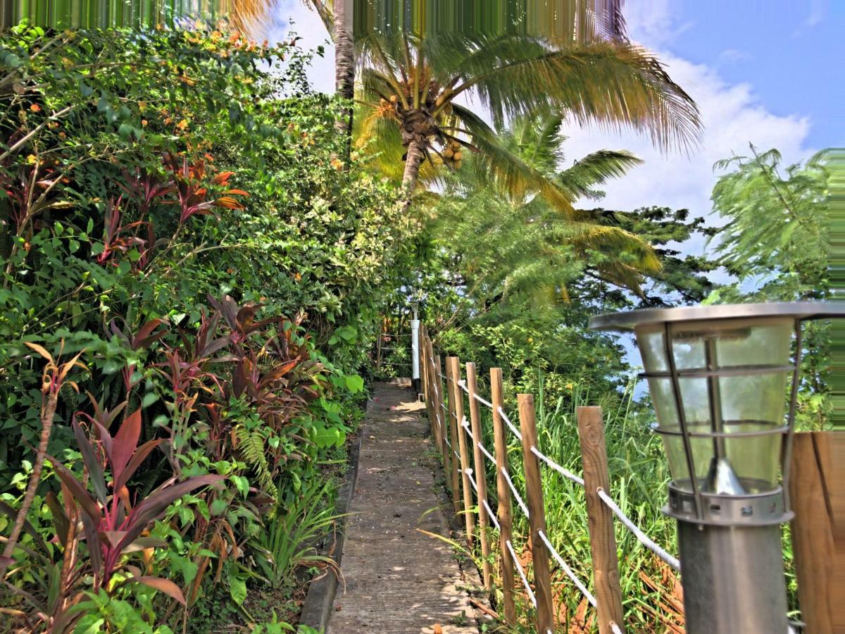 Residence Paradis Tropical Basse-Terre Ngoại thất bức ảnh