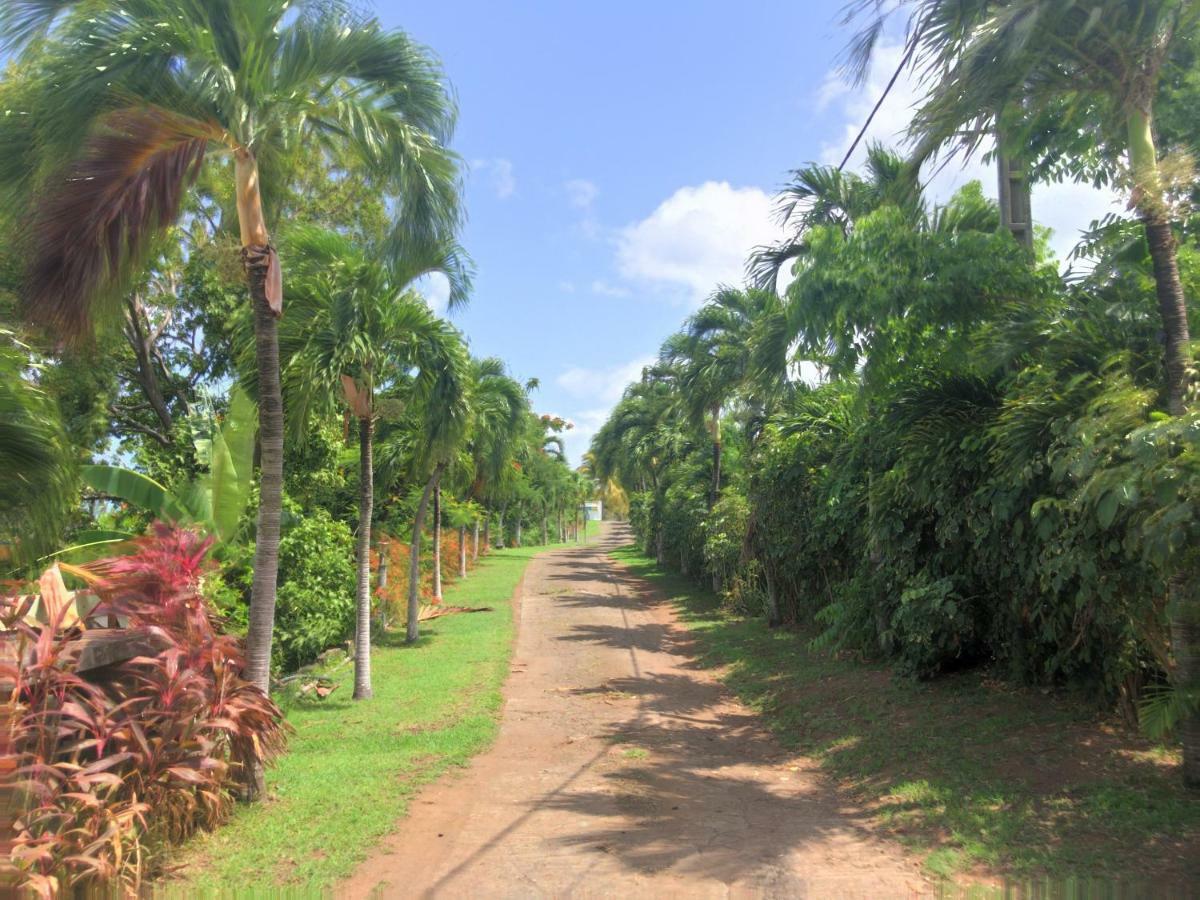 Residence Paradis Tropical Basse-Terre Ngoại thất bức ảnh