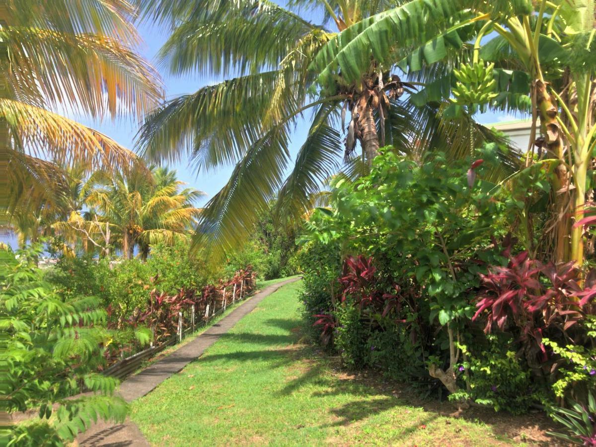 Residence Paradis Tropical Basse-Terre Ngoại thất bức ảnh