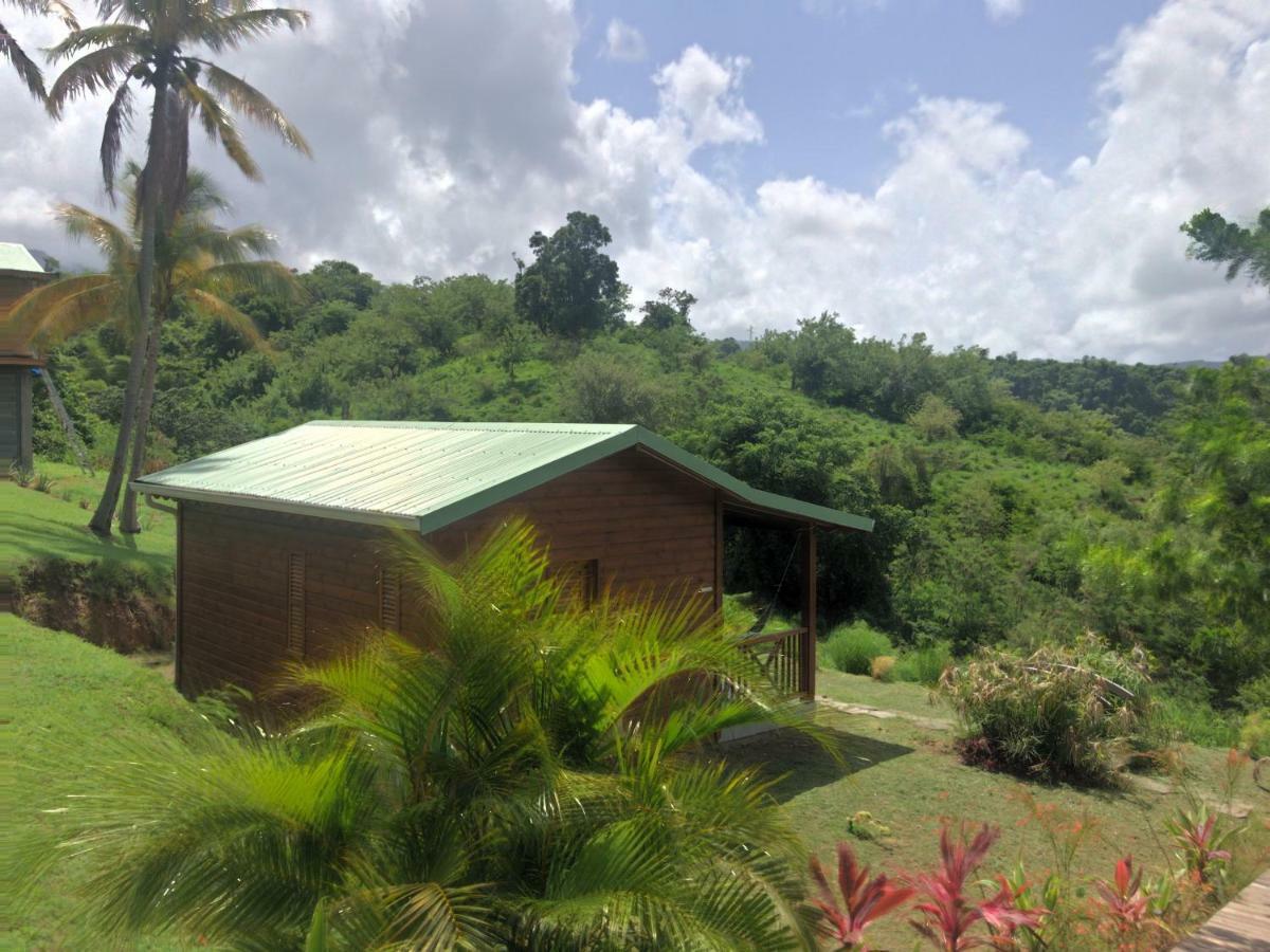 Residence Paradis Tropical Basse-Terre Ngoại thất bức ảnh