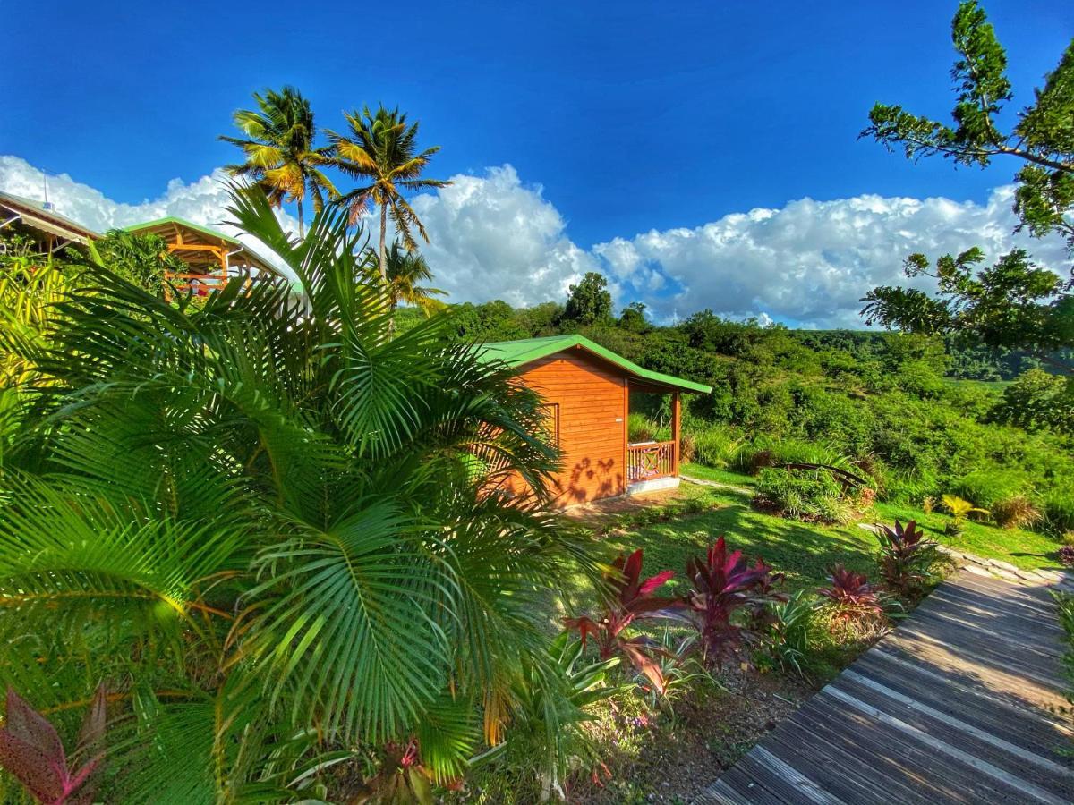 Residence Paradis Tropical Basse-Terre Ngoại thất bức ảnh